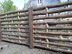 IMG_20150512_161538